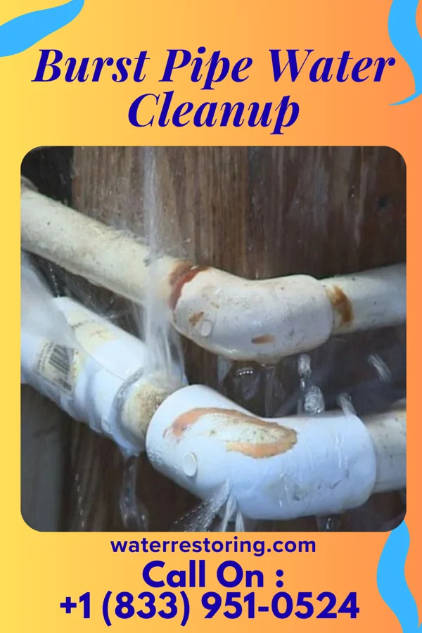 Burst Pipe Water Cleanup in Faulkton, SD
