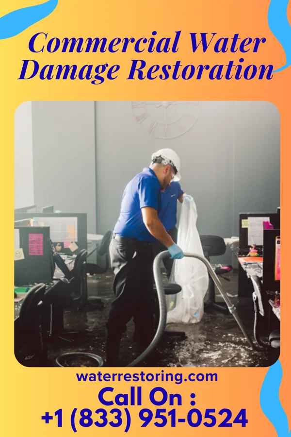 Commercial Water Damage Restoration in Faulkton, SD